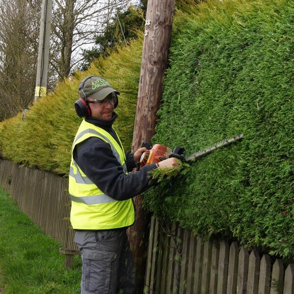 Expert gardeners trimming
